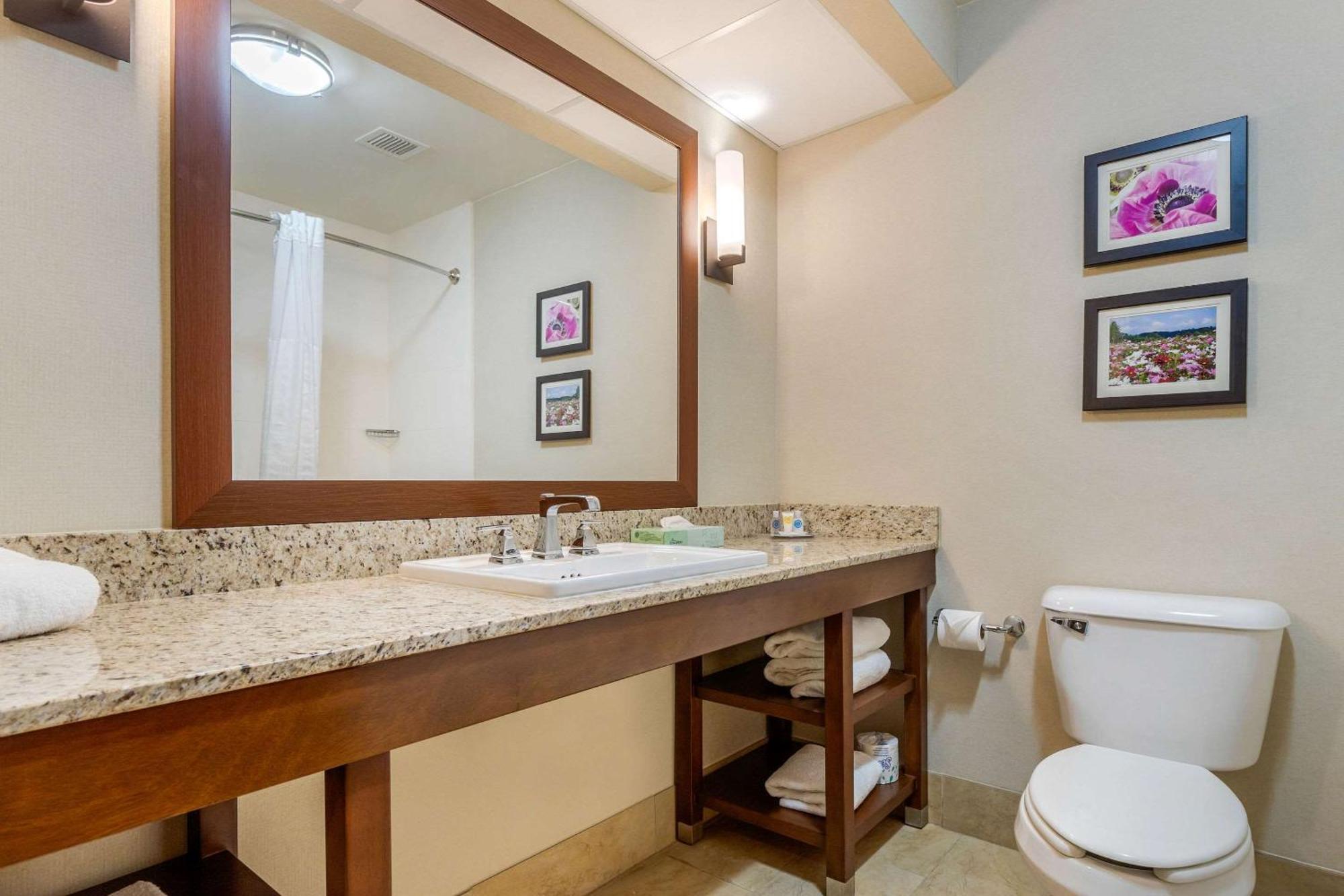Comfort Suites Gastonia - Charlotte מראה חיצוני תמונה